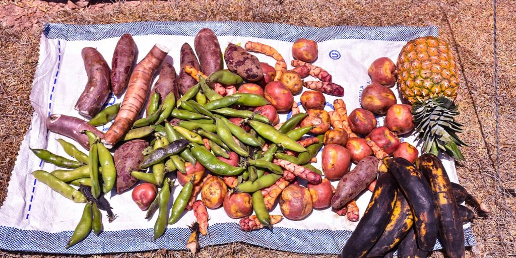 Pachamanca; the Peruvian Barbecue